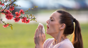 shutterstock_1359629180 - image for home page-01 shutterstock_1359629180 - image for home page-01