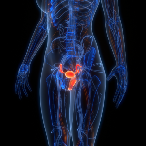 shutterstock_2488066427 - module image