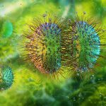 Vaccination for prevention of invasive meningococcal disease