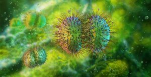 Vaccination for prevention of invasive meningococcal disease